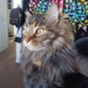 Meet your Posher, Crystal